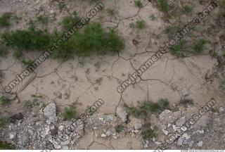 ground soil overgrown 0002